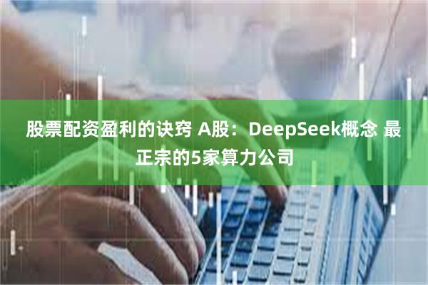 股票配资盈利的诀窍 A股：DeepSeek概念 最正宗的5家算力公司