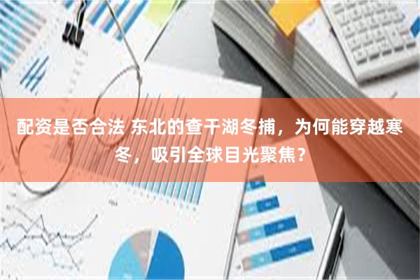 配资是否合法 东北的查干湖冬捕，为何能穿越寒冬，吸引全球目光聚焦？