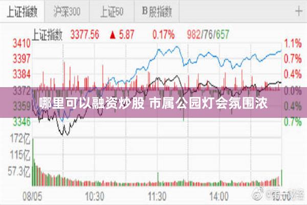 哪里可以融资炒股 市属公园灯会氛围浓