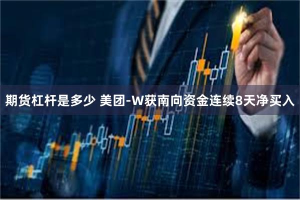 期货杠杆是多少 美团-W获南向资金连续8天净买入