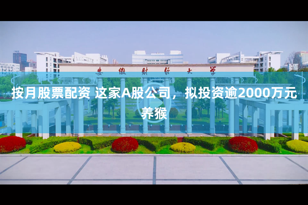 按月股票配资 这家A股公司，拟投资逾2000万元养猴
