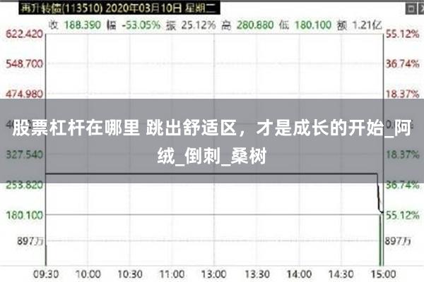 股票杠杆在哪里 跳出舒适区，才是成长的开始_阿绒_倒刺_桑树
