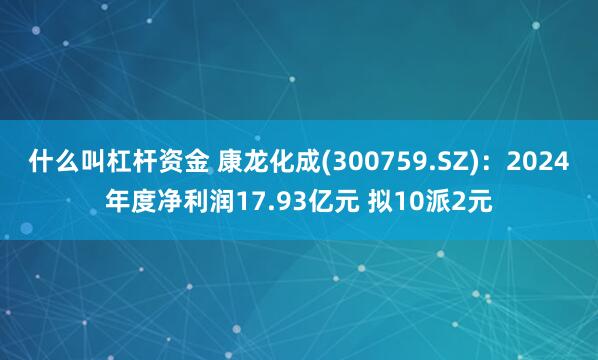 什么叫杠杆资金 康龙化成(300759.SZ)：2024年度净利润17.93亿元 拟10派2元