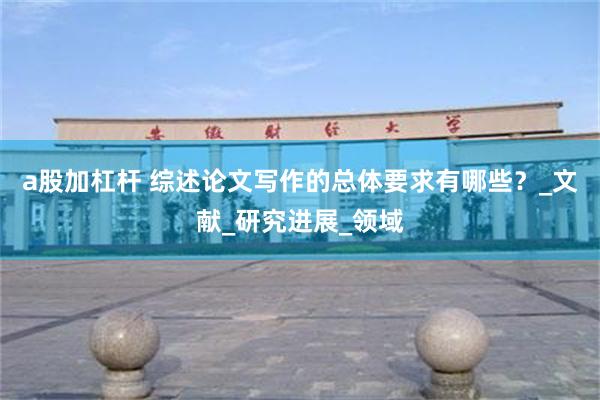 a股加杠杆 综述论文写作的总体要求有哪些？_文献_研究进展_领域