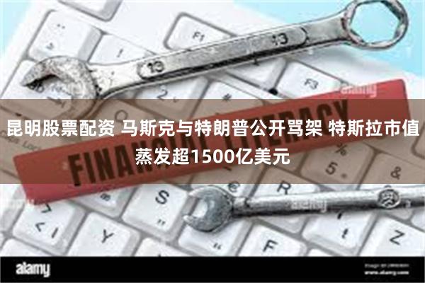 昆明股票配资 马斯克与特朗普公开骂架 特斯拉市值蒸发超1500亿美元