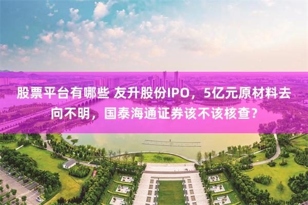 股票平台有哪些 友升股份IPO，5亿元原材料去向不明，国泰海通证券该不该核查？