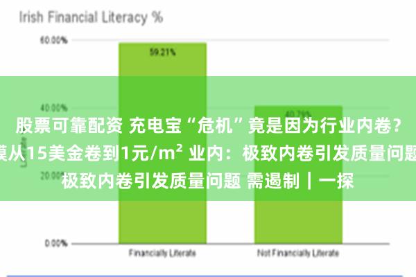 股票可靠配资 充电宝“危机”竟是因为行业内卷？有供应商称隔膜从15美金卷到1元/m² 业内：极致内卷引发质量问题 需遏制｜一探